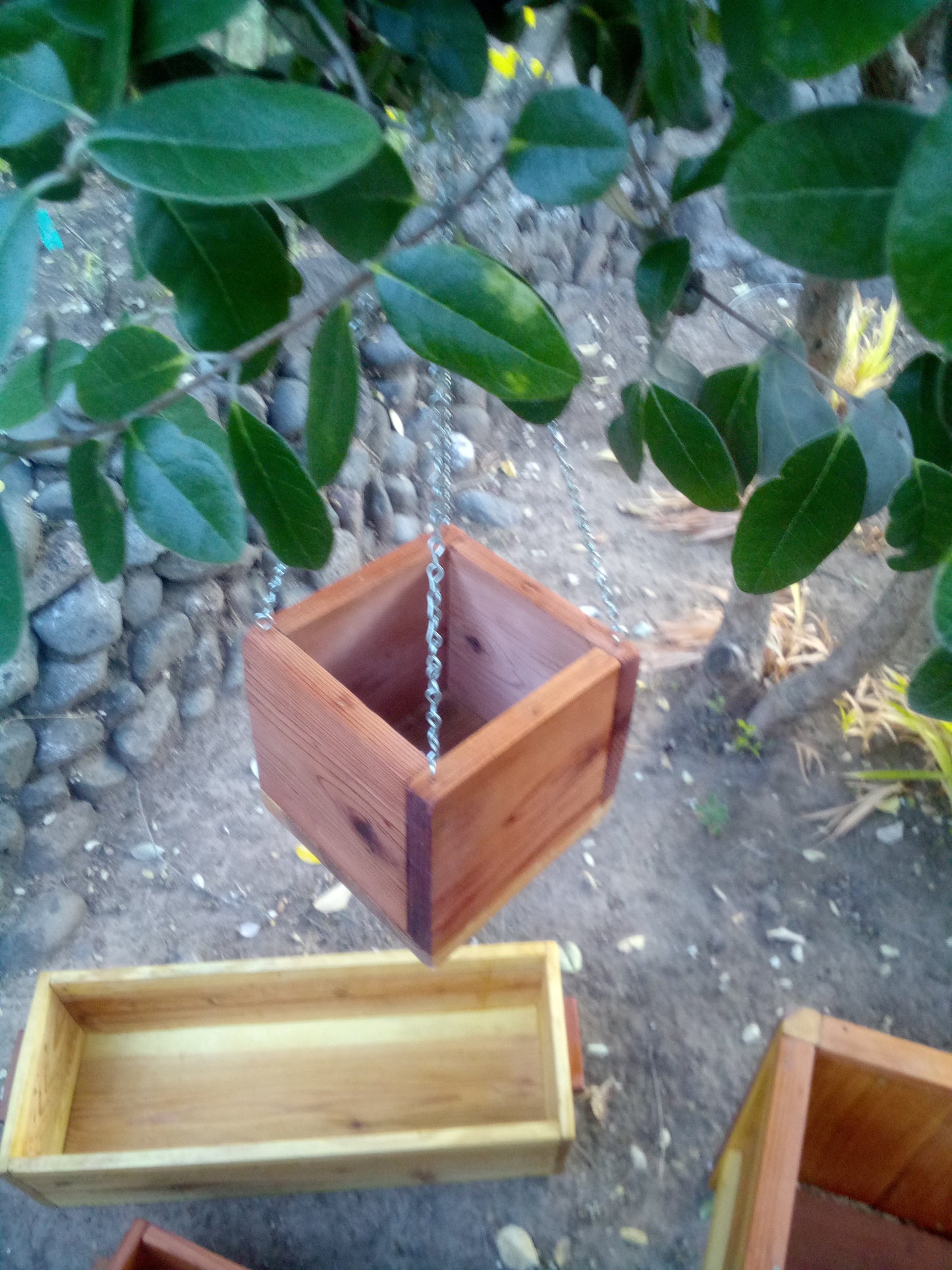Floating Garden
